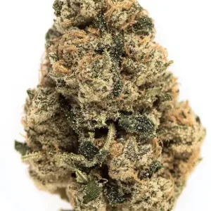 Cali Weed online bestellen - Exotic THC Strains