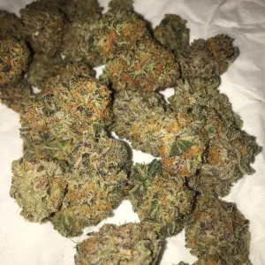 Kaufen Amnesia Haze Unkraut Österreich