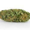 Kaufen OG Kush Unkraut Österreich