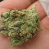 Befehl White Widow Klasse A Österreich